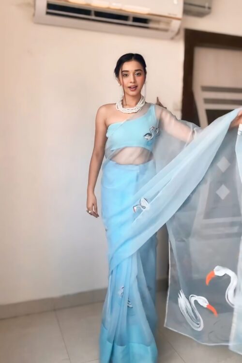 Sky Blue Organza Saree With Hand-painted Swans Ready To Wear Saree With Designer Unstitched Blouse