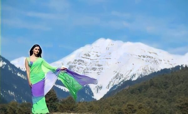 Green And Purple Tones With An Ombre Effect Georgette Ready To Wear Saree With Unstitched Blouse - Image 6