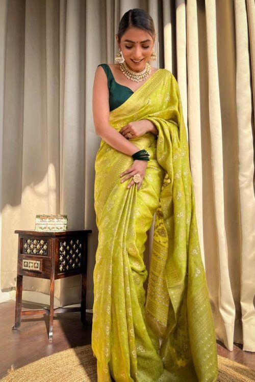 Lime Green Banarasi Jacquard Lichi Silk Saree with Rich Silver Zari Work