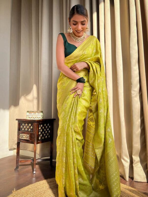 Lime Green Banarasi Jacquard Lichi Silk Saree with Rich Silver Zari Work
