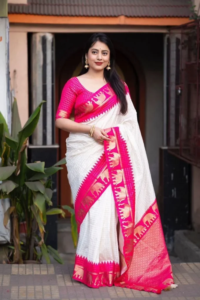 Traditional Saree